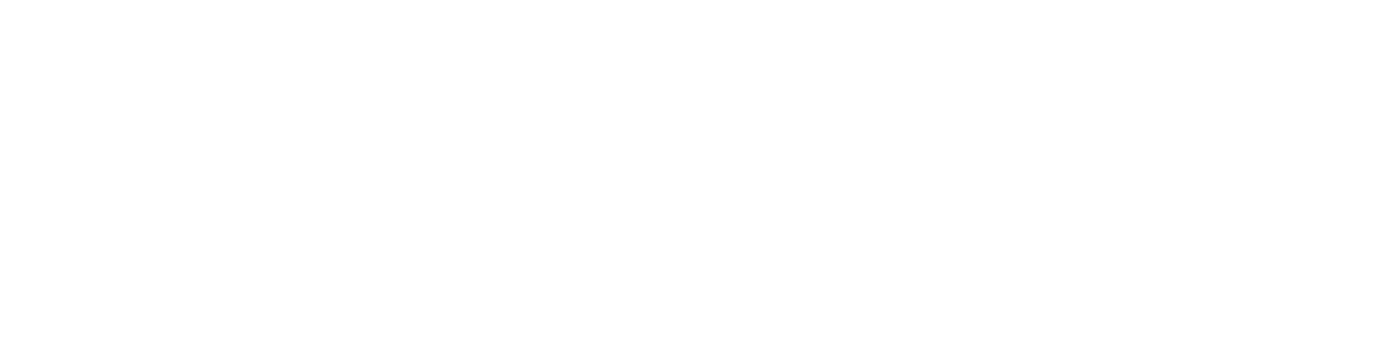 Simona Veselá – projektová manažerka